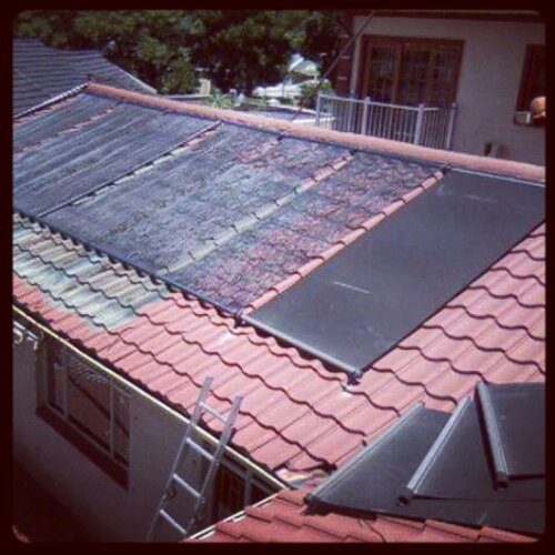 IMG_20140117_060559.jpg image