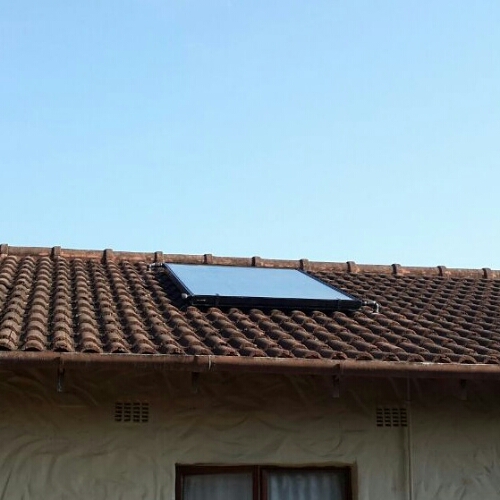 IMG_20140723_081500.jpg image